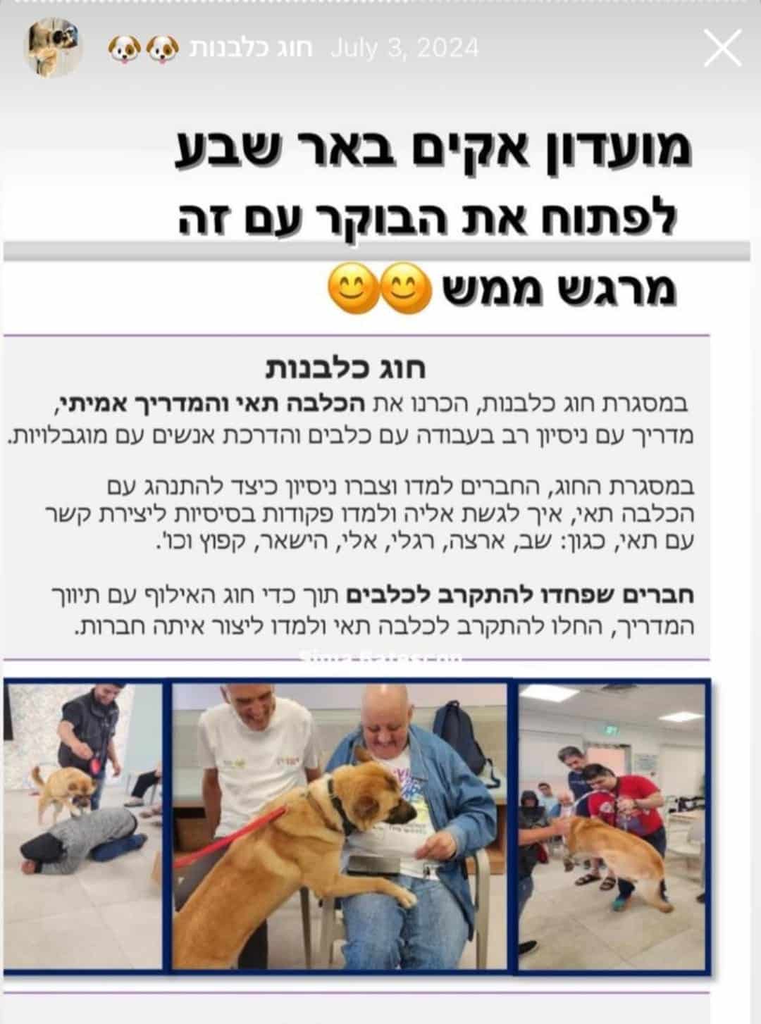 אבירז 10
